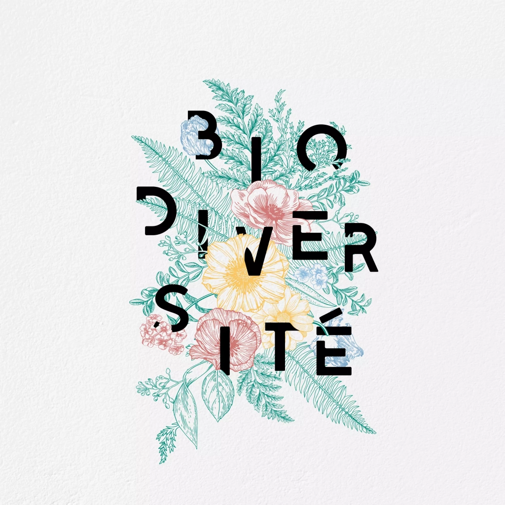 IMAGE-A-LA-UNE__BIODIVERSITE_CCFI