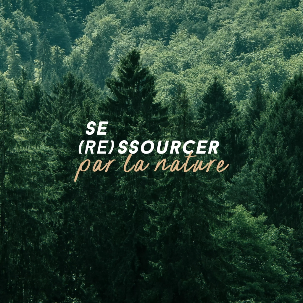 IMAGE_UNE_VOSGES_FORET